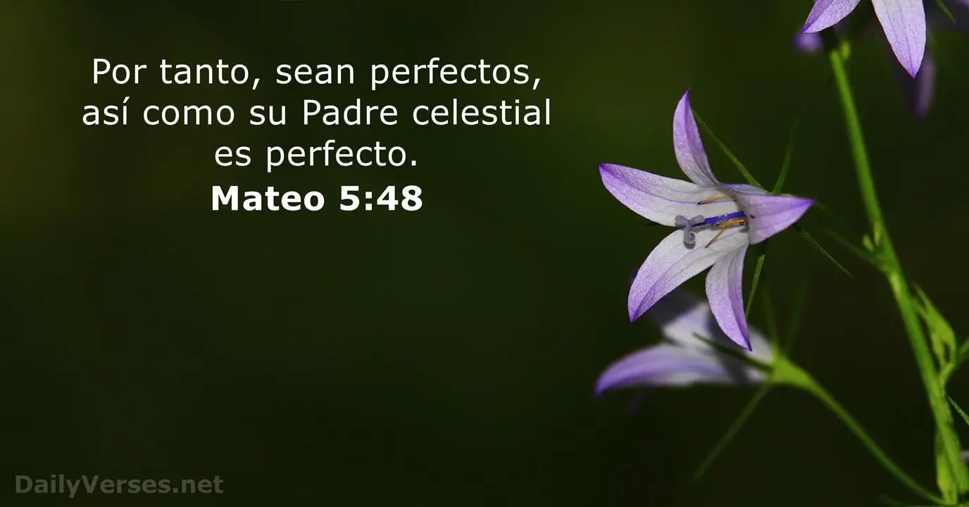 La Búsqueda de la Perfección en la Biblia: Un Viaje de Fe y Humildad - Donde dice la Biblia Sed perfectos se perfecto biblia - Donde dice la Biblia Sed perfectos