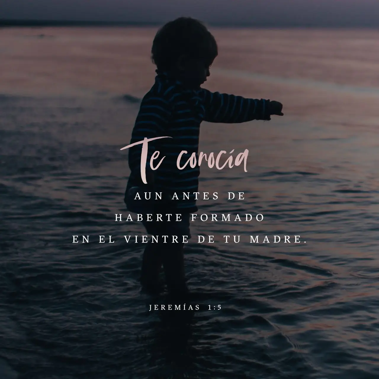 Yo te Elegí: La Promesa de Dios en la Biblia - Donde dice la Biblia yo te escogí yo te elegi biblia - Donde dice la Biblia yo te escogí