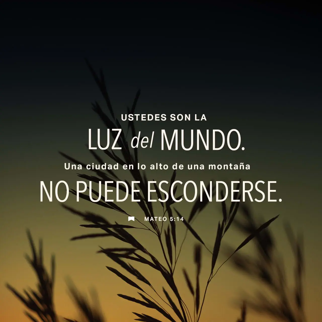 La Sal en la Biblia: Un Símbolo de Sabiduría, Conservación y Luz - Dónde en la Biblia habla de la sal sal biblia - Dónde en la Biblia habla de la sal