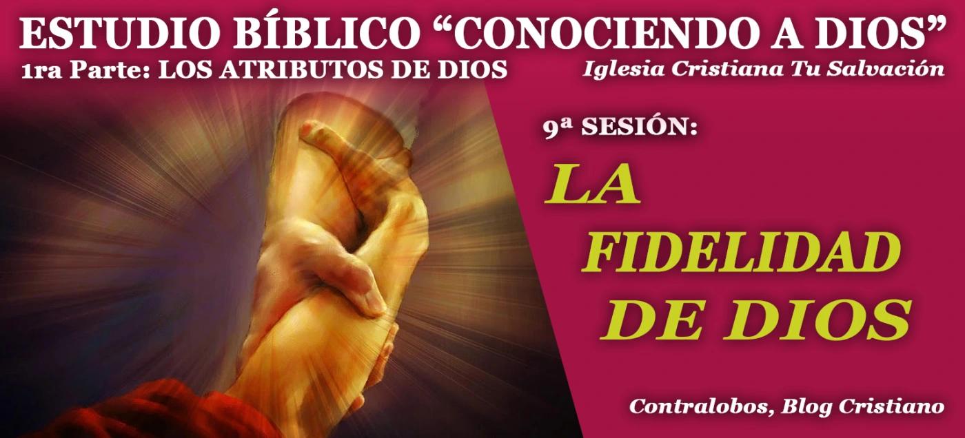¿Cuántas veces aparece la palabra fidelidad en la Biblia? - Dónde habla en la Biblia de la fidelidad cuantas veces aparece la palabra fidelidad en la biblia - Dónde habla en la Biblia de la fidelidad