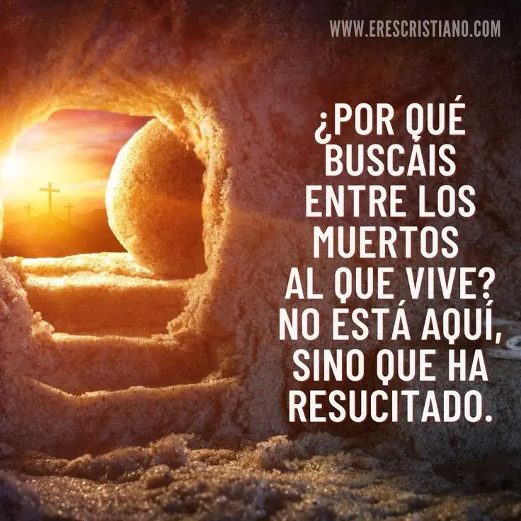 En qué parte de la Biblia habla de las Pascuas - Dónde habla Jesús de la Pascua en que parte de la biblia habla de las pascuas - Dónde habla Jesús de la Pascua