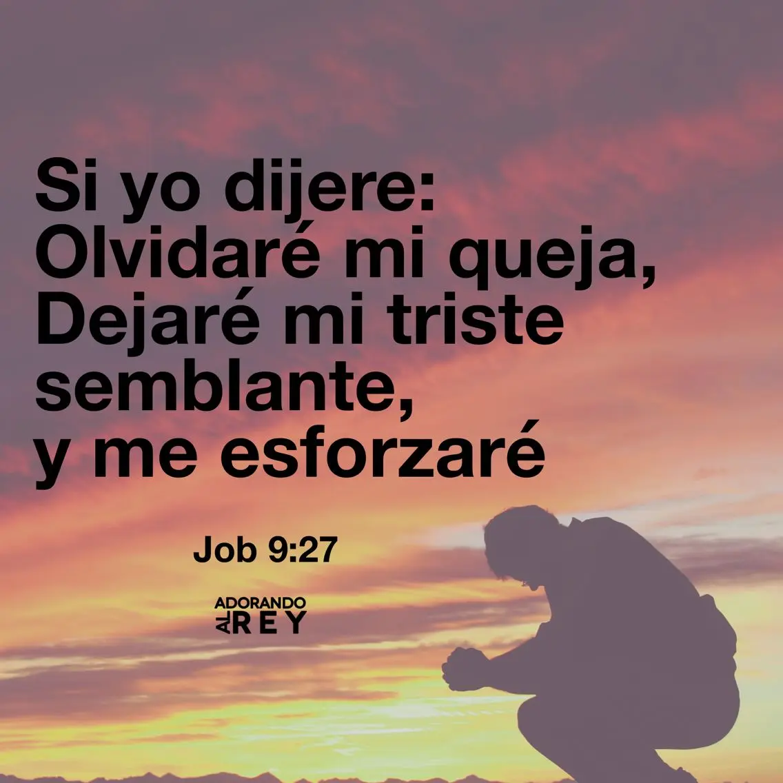 La Queja en la Biblia: Reflexiones sobre la Negatividad y la Gratitud - Dónde habla la Biblia de no quejarse la queja en la biblia - Dónde habla la Biblia de no quejarse