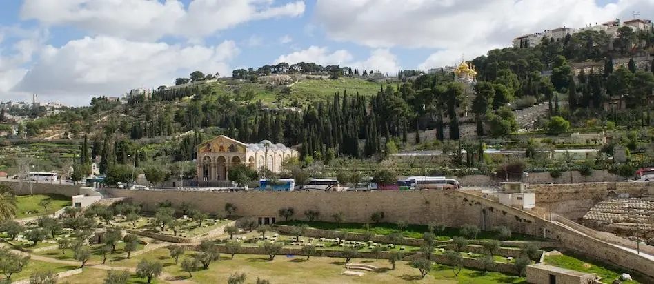 La Iglesia del Santo Cristo de la Agonía: Un Ejemplo de Arquitectura Religiosa Moderna - Dónde tuvo lugar la agonía en el huerto iglesia la agonia - Dónde tuvo lugar la agonía en el huerto