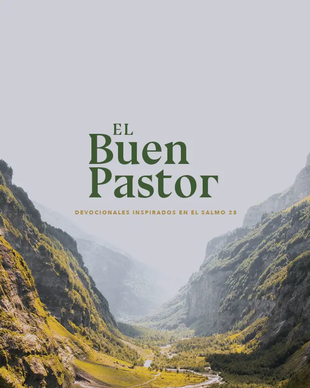 ¿Por qué la Biblia nos compara con ovejas? - Por qué Jesús nos llama ovejas porque la biblia nos compara con ovejas - Por qué Jesús nos llama ovejas