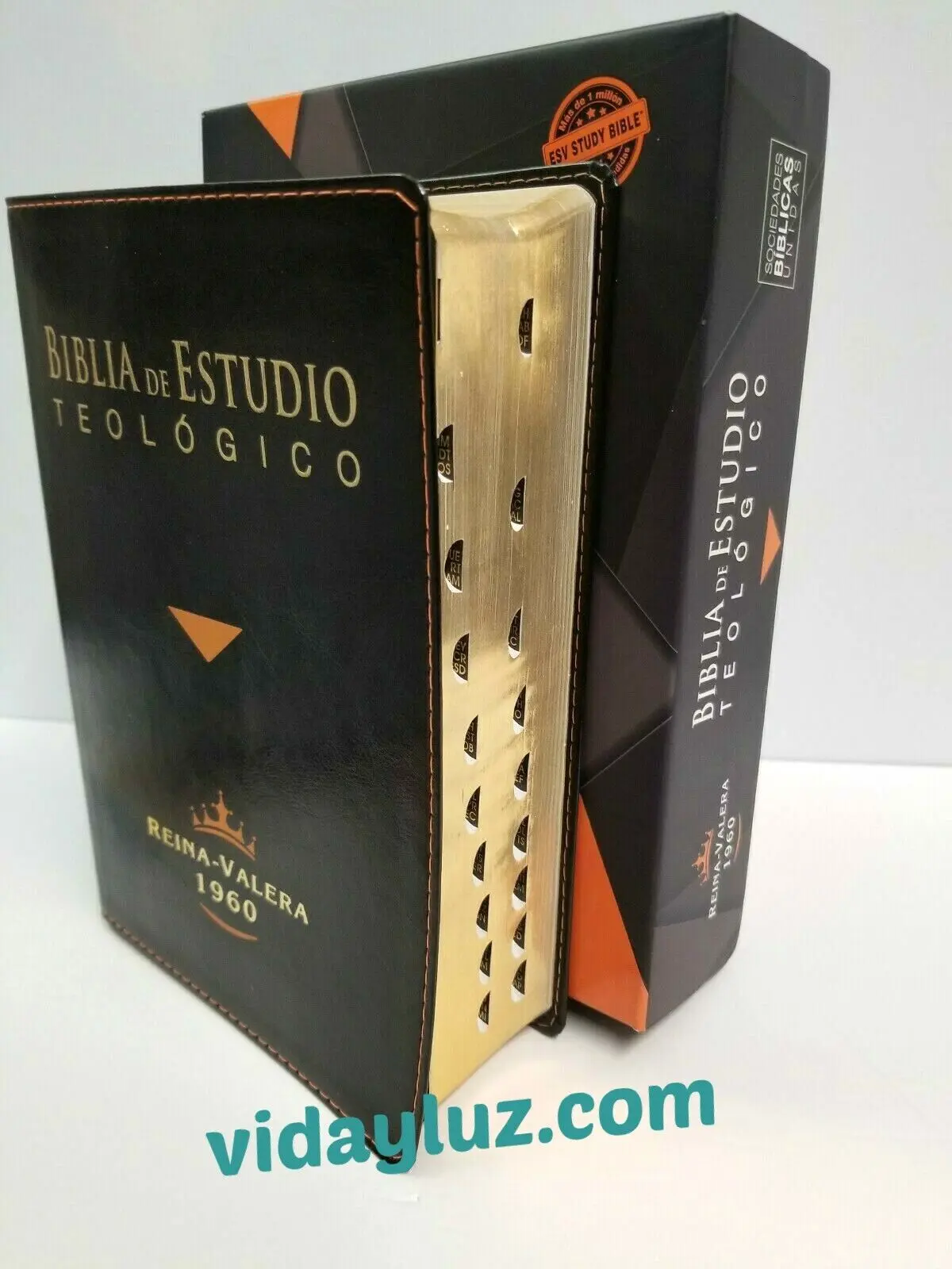 La Biblia de Estudio Teológico: Una Herramienta Esencial para la Profundización de la Fe - Qué contiene la Biblia de estudio teológico biblia de estudio teologico - Qué contiene la Biblia de estudio teológico