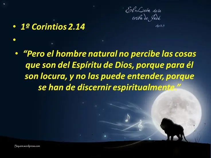 Frases Polémicas de la Biblia: Un Análisis de 1 Timoteo 2:12 - Qué dice 1 Timoteo 2 12 frases polemicas de la biblia - Qué dice 1 Timoteo 2 12