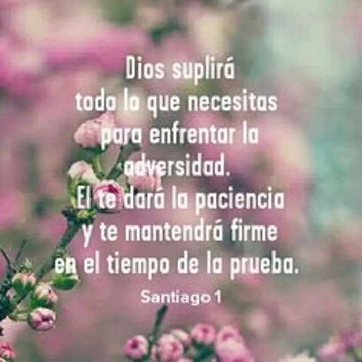 como enfrentar la adversidad según la biblia - Qué dice Dios sobre las adversidades