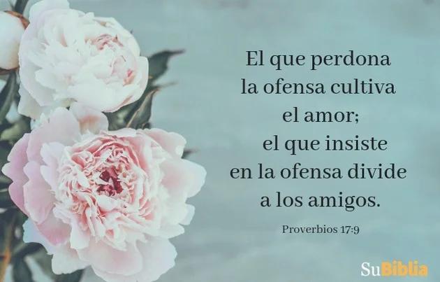 La Amistad en la Biblia Católica: Un Camino hacia la Plenitud - Qué dice el Catecismo de la Iglesia Catolica sobre la amistad la amistad en la biblia catolica - Qué dice el Catecismo de la Iglesia Catolica sobre la amistad