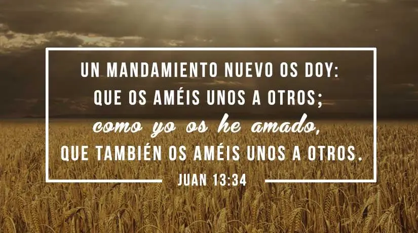 El Mandamiento del Amor en la Biblia: Un Pilar Fundamental de la Fe Cristiana - Qué dice el mandamiento del amor mandamiento del amor en la biblia - Qué dice el mandamiento del amor