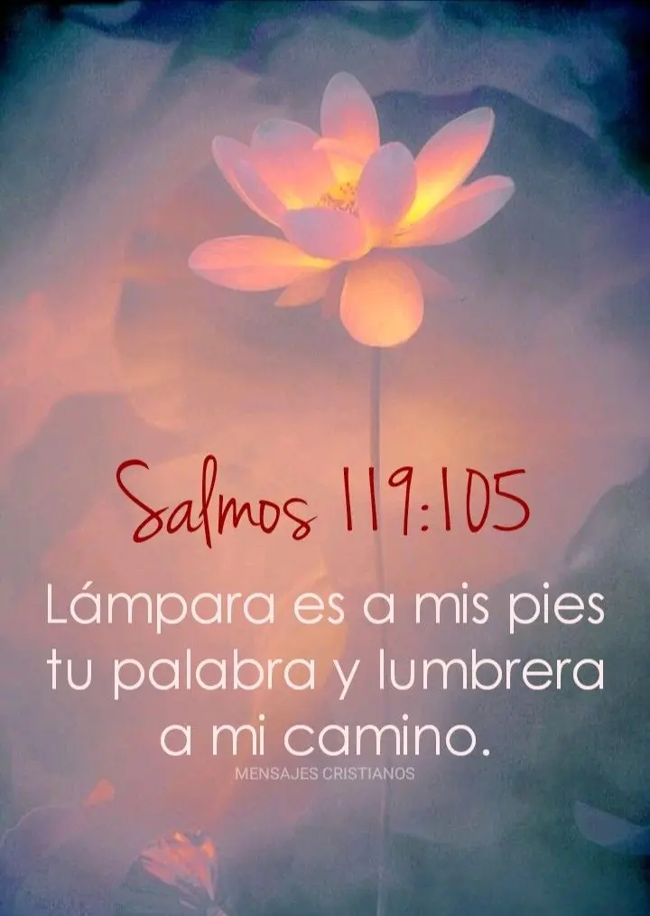 Frases de Salmos de la Biblia: Un Recorrido por la Sabiduría y la Esperanza - Qué dice el salmo 25 de la Biblia frases de salmos de la biblia - Qué dice el salmo 25 de la Biblia