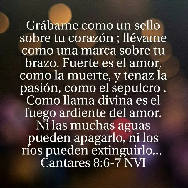 Frases de Cantares: Un Canto al Amor y la Belleza - Qué dice en Cantares 1 16 frases de cantares de la biblia - Qué dice en Cantares 1 16