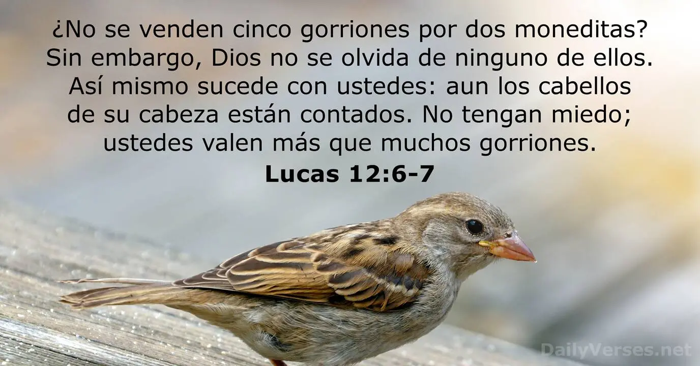 Nuestros días están contados: Una reflexión bíblica sobre la finitud de la vida - Qué dice en Daniel 11 37 nuestros dias estan contados biblia - Qué dice en Daniel 11 37