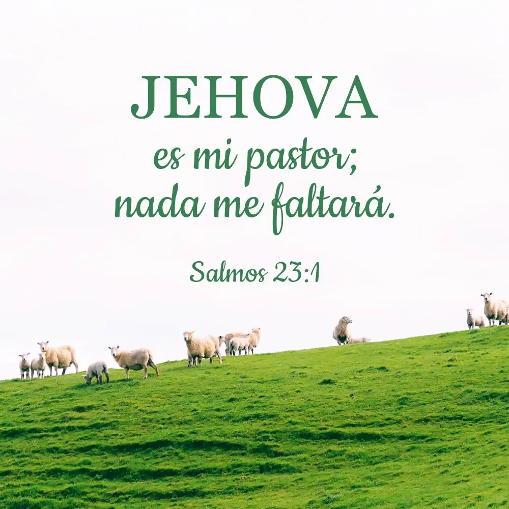 Jehová es mi Pastor: Un Análisis del Salmo 23 - Qué dice en el Salmo 23 completo jehova es mi pastor biblia - Qué dice en el Salmo 23 completo