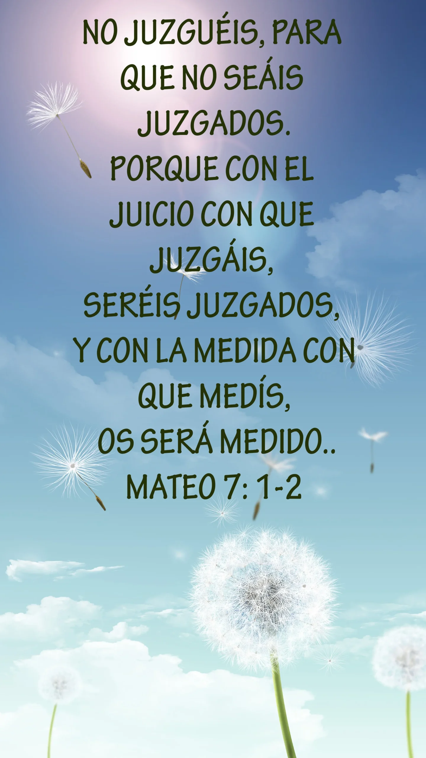 Frases de la Biblia Mateo: Un Mensaje de Esperanza y Amor - Qué dice en Mateo 19 14 frases de la biblia mateo - Qué dice en Mateo 19 14