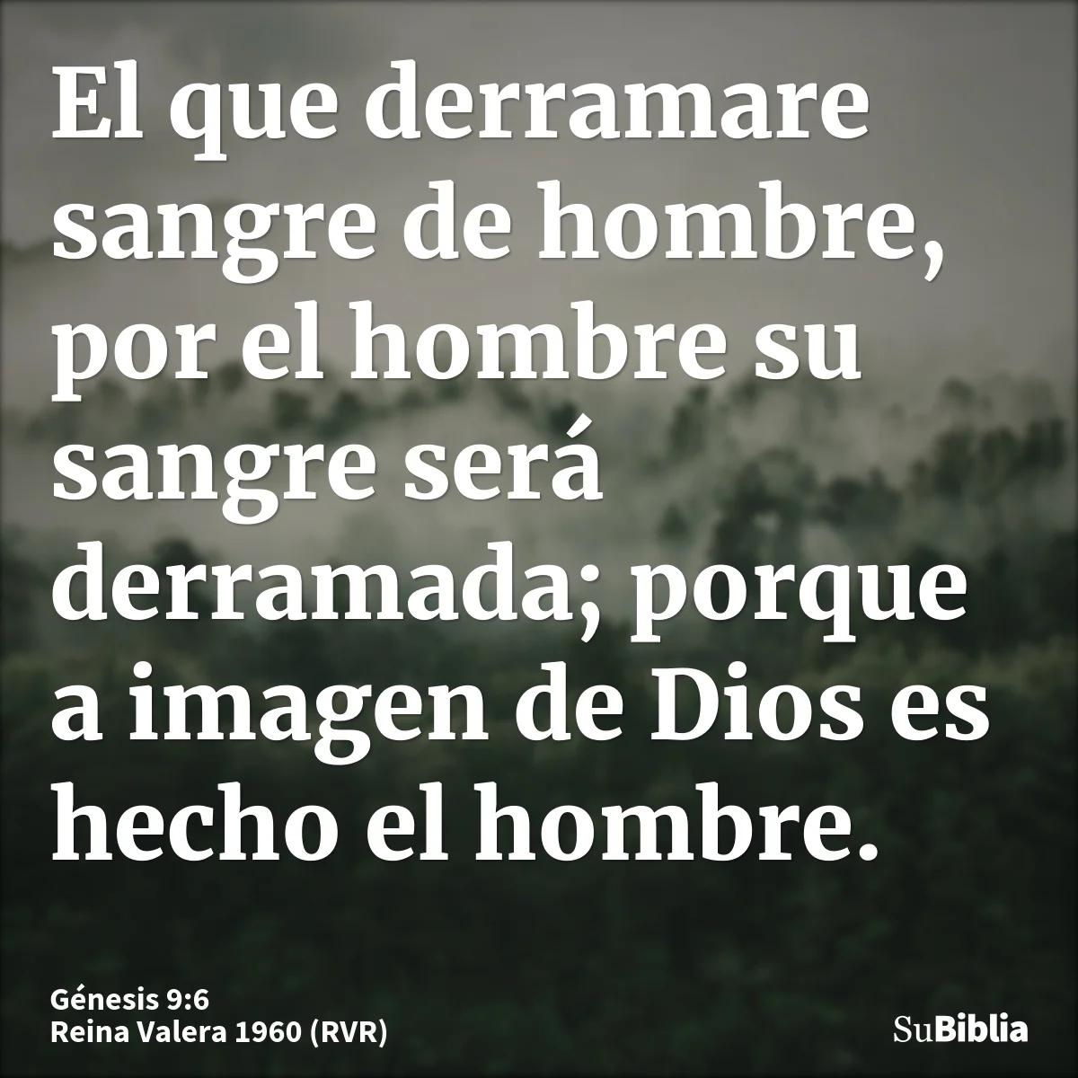 El Hombre Sanguinario en la Biblia: Un Análisis Profundo - Qué dice en Proverbios 29 17 hombre sanguinario segun la biblia - Qué dice en Proverbios 29 17