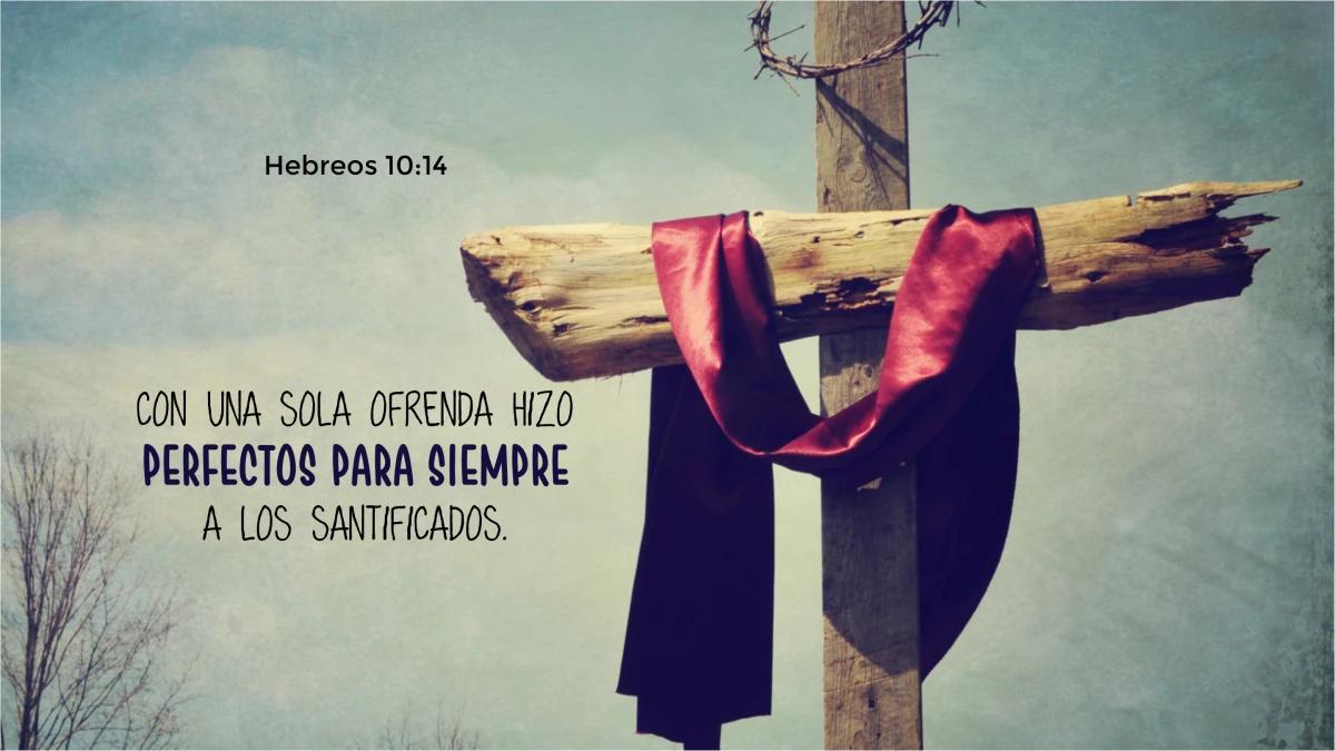 Me Preparaste Cuerpo: La Encarnación y la Dignidad del Cuerpo Humano - Qué dice Hebreos 5 10 me preparaste cuerpo biblia - Qué dice Hebreos 5 10