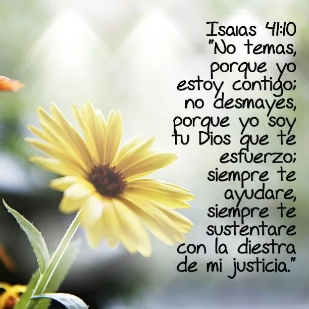 No temas: Un mensaje de esperanza en Isaías 41:8 - Qué dice Isaías 41 8 no temas biblia catolica - Qué dice Isaías 41 8