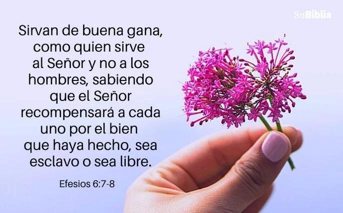que dice la biblia de trabajar - Qué dice Jehová sobre el trabajo
