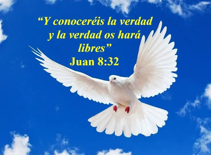 La Verdad os Hará Libres: Un Análisis de Juan 8:32-36 - Qué dice Juan 8 34 la verdad te hara libre biblia catolica - Qué dice Juan 8 34