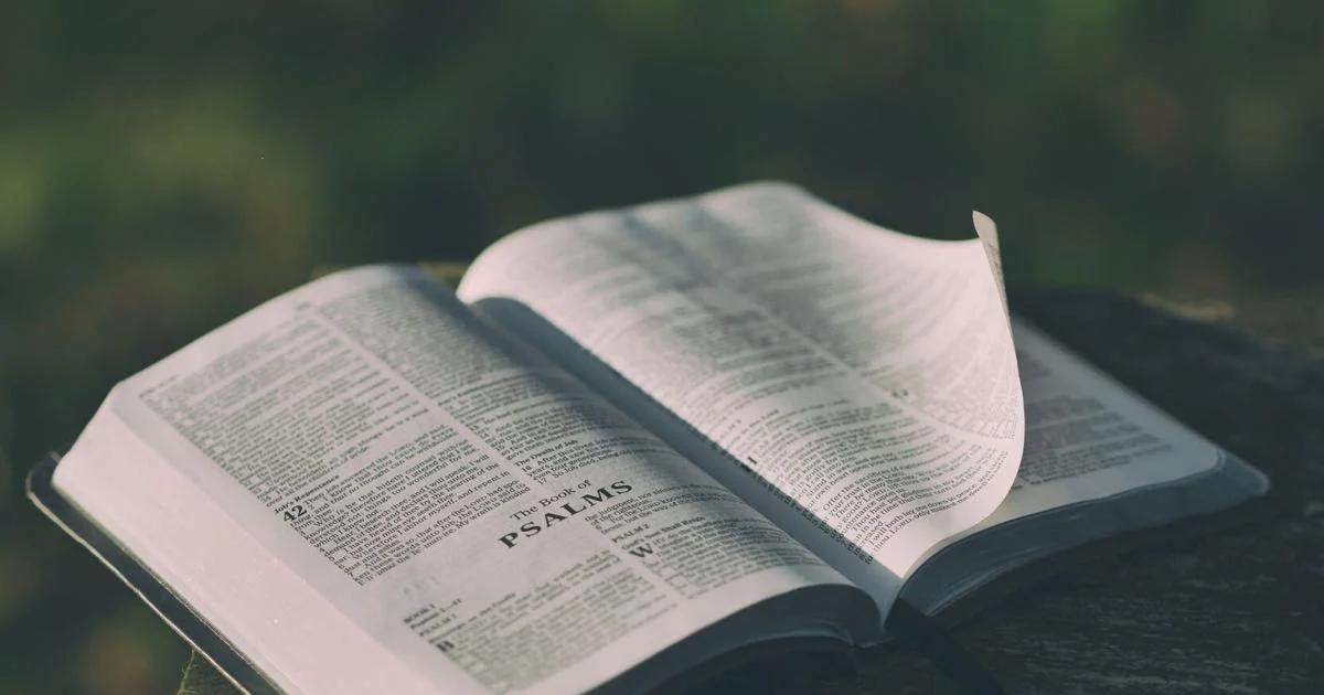 educa al niño biblia - Qué dice la Biblia acerca de educar a un niño