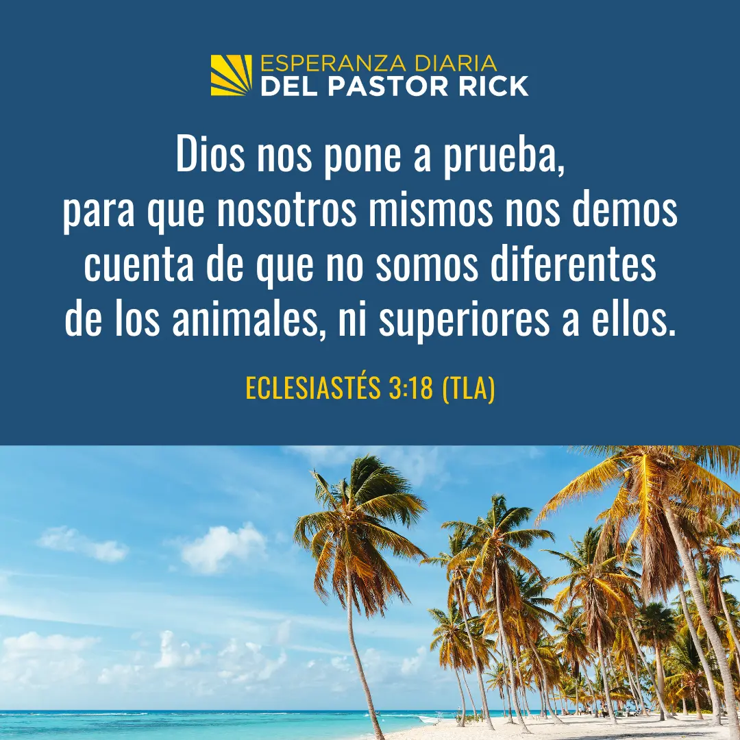 La Vida es Injusta: ¿Qué Dice la Biblia? - Qué dice la Biblia acerca de la injusticia la vida es injusta biblia - Qué dice la Biblia acerca de la injusticia