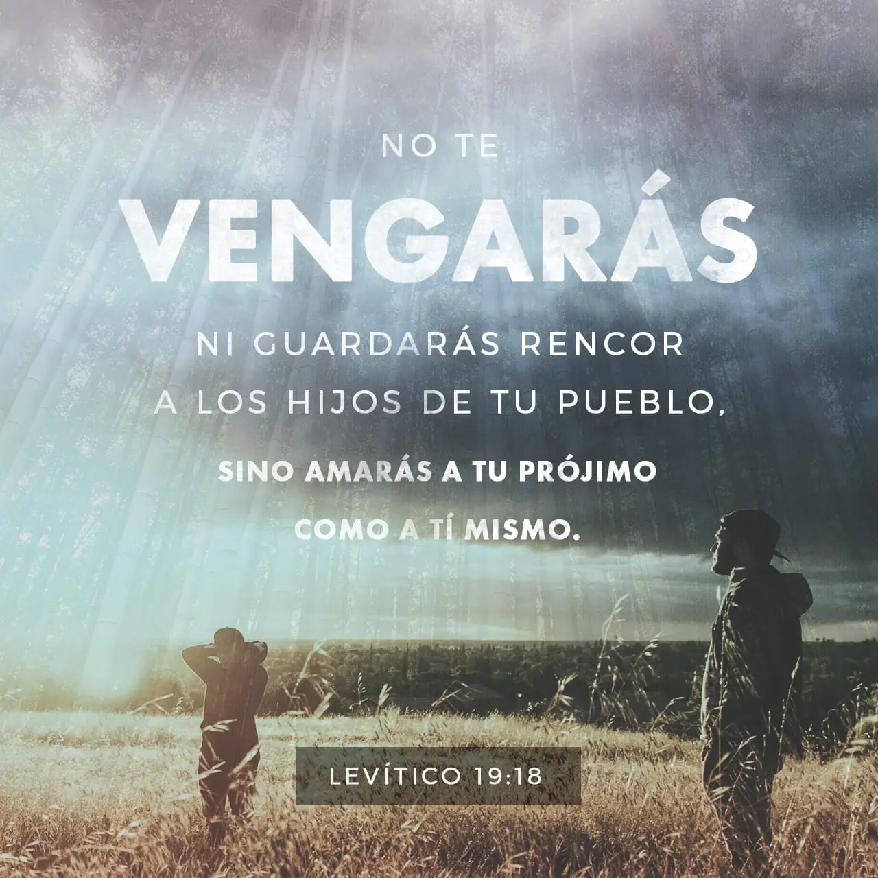No Mezclar Semillas: Una Interpretación Bíblica - Qué dice la Biblia acerca de las semillas no mezclar semillas biblia - Qué dice la Biblia acerca de las semillas