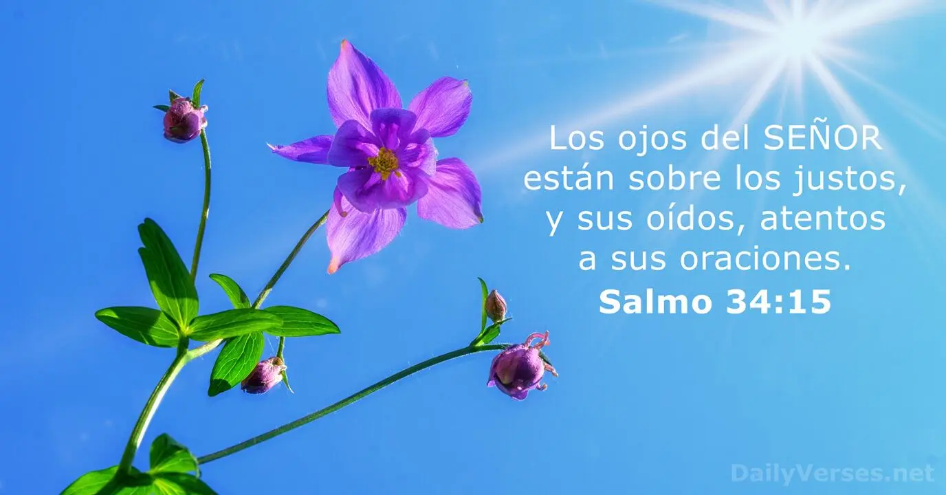 cuida tus ojos biblia - Qué dice la Biblia de cuidar los ojos