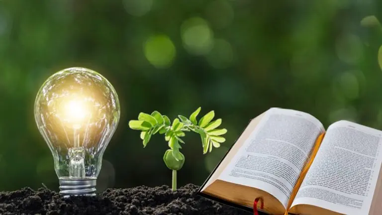 El Medio Ambiente y la Biblia: Una Mirada a la Sustentabilidad Divina - Qué dice la biblia de el medio ambiente el medio ambiente y la biblia - Qué dice la biblia de el medio ambiente