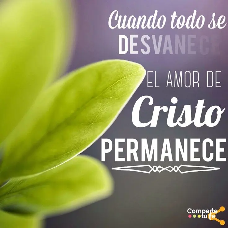 La Belleza del Señor: Un Viaje a través del Salmo 133 - Qué dice la Biblia de la belleza de Dios cuan bello es el señor biblia - Qué dice la Biblia de la belleza de Dios