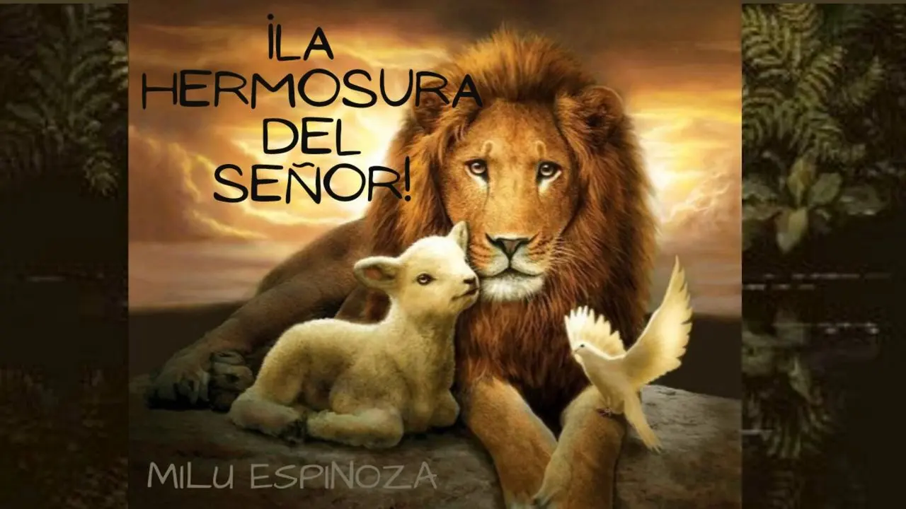 la belleza segun la biblia - Qué dice la Biblia de la belleza de Dios