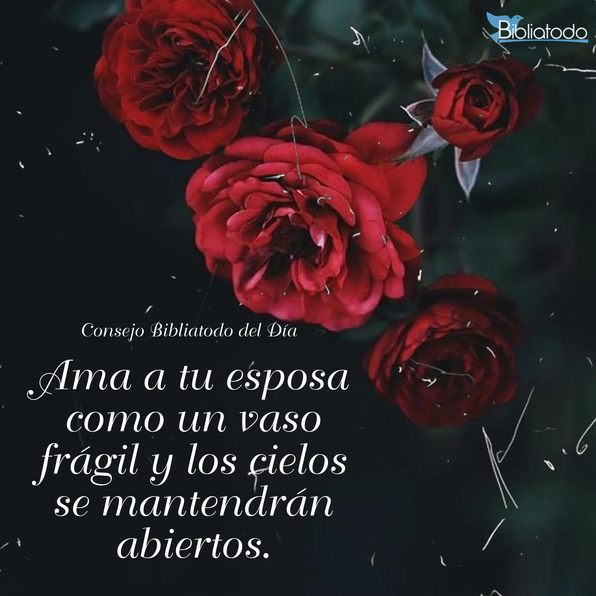 El Vaso Frágil en la Biblia: Un Análisis Profundo - Qué dice la Biblia de la mujer como vaso fragil vaso frágil biblia - Qué dice la Biblia de la mujer como vaso fragil