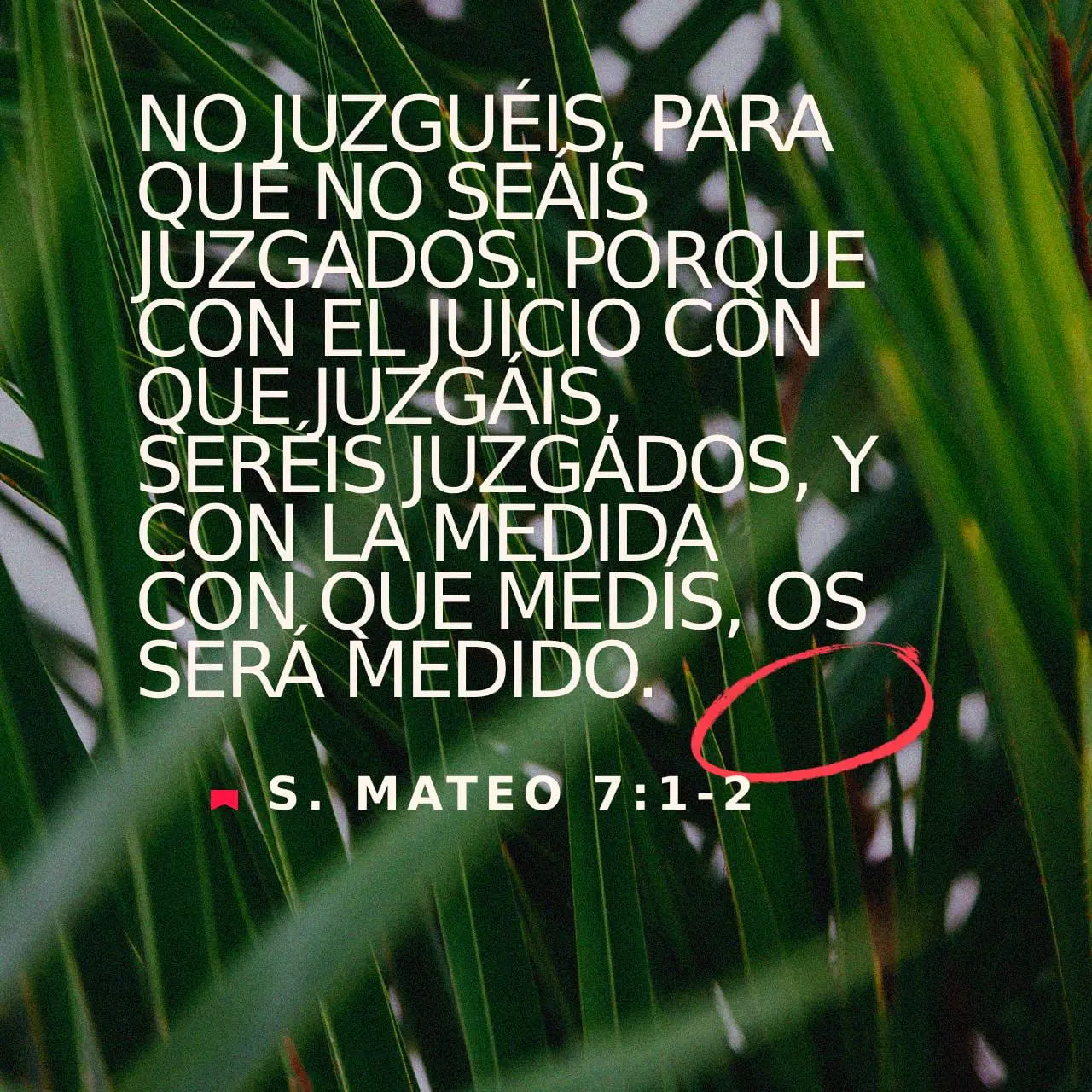 que dice la biblia sobre criticar a los demas - Qué dice la Biblia de la opinión de los demás