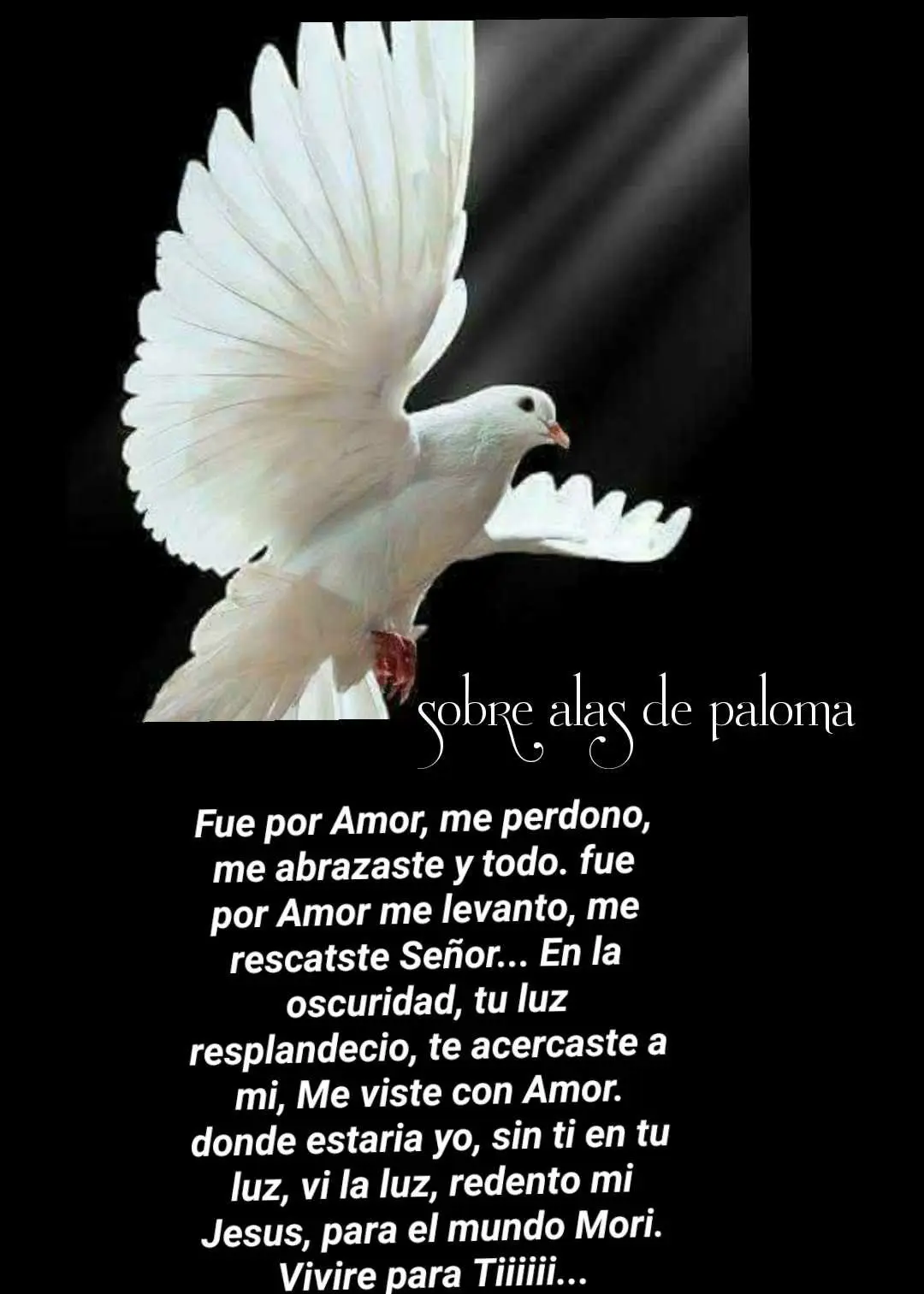 Sobre Alas de Paloma: Un Análisis Bíblico de la Protección Divina - Qué dice la Biblia de las alas sobre alas de paloma en la biblia - Qué dice la Biblia de las alas