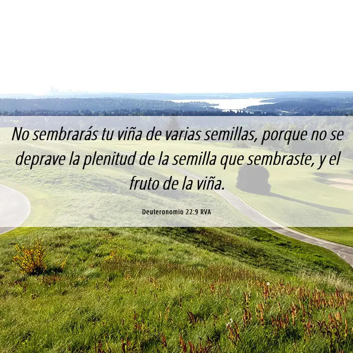 No Mezclar Semillas: Una Interpretación Bíblica - Qué dice la Biblia de las mezclas no mezclar semillas biblia - Qué dice la Biblia de las mezclas