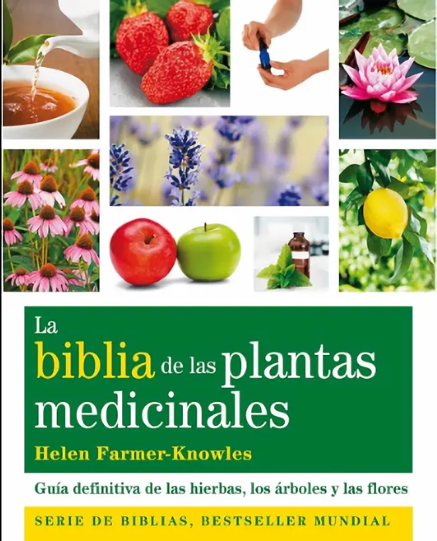 Las Plantas: Un Tesoro Medicinal en la Biblia - Qué dice la Biblia de las plantas las plantas son medicina biblia - Qué dice la Biblia de las plantas