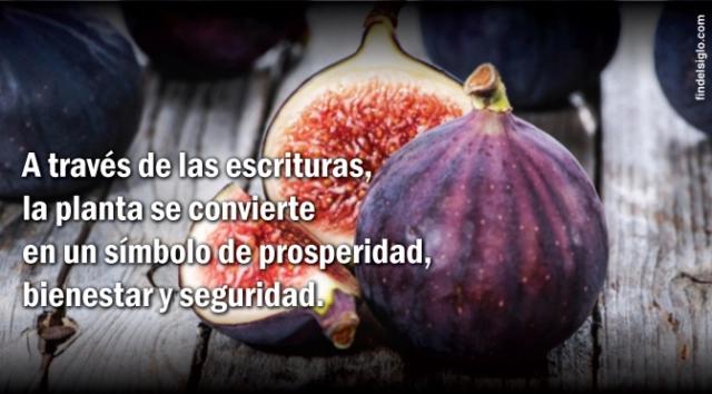 La Masa de Higos en la Biblia: Un Símbolo de Esperanza y Juicio - Qué dice la Biblia de los higos masa de higos en la biblia - Qué dice la Biblia de los higos