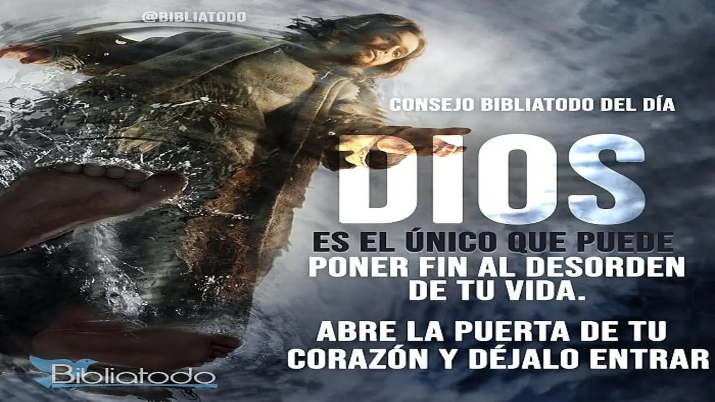 La Biblia y el Orden: ¿Qué dice sobre los que andan desordenadamente? - Qué dice la Biblia de los que andan desordenadamente desordenadamente biblia - Qué dice la Biblia de los que andan desordenadamente
