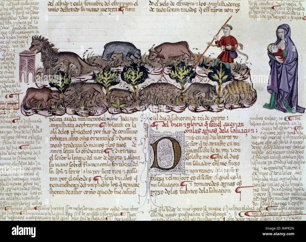 El Retoño de Isaí: Un Símbolo de Esperanza y Restauración en la Biblia - Qué dice la Biblia en Isaías 61 1 retoño en la biblia - Qué dice la Biblia en Isaías 61 1