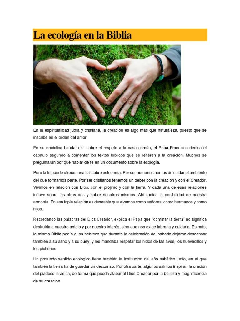 Ecología y Medio Ambiente en la Biblia: Un Llamado a la Custodia de la Creación - Qué dice la Biblia sobre el cuidado del medio ambiente y el reciclaje ecologia y medio ambiente en la biblia - Qué dice la Biblia sobre el cuidado del medio ambiente y el reciclaje