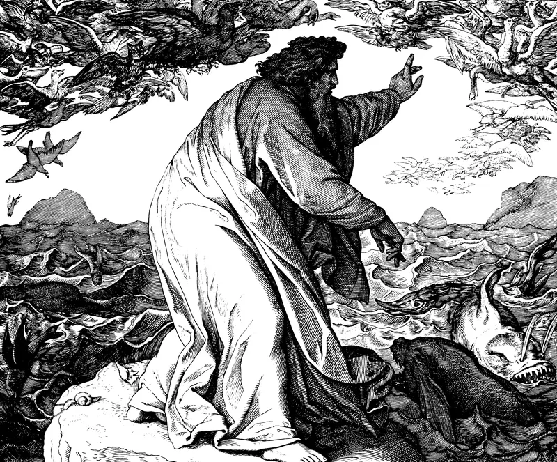 La Creación de los Animales en la Biblia: Un Viaje a los Orígenes de la Vida - Qué dice la Biblia sobre la creacion de los animales creación de los animales biblia - Qué dice la Biblia sobre la creacion de los animales