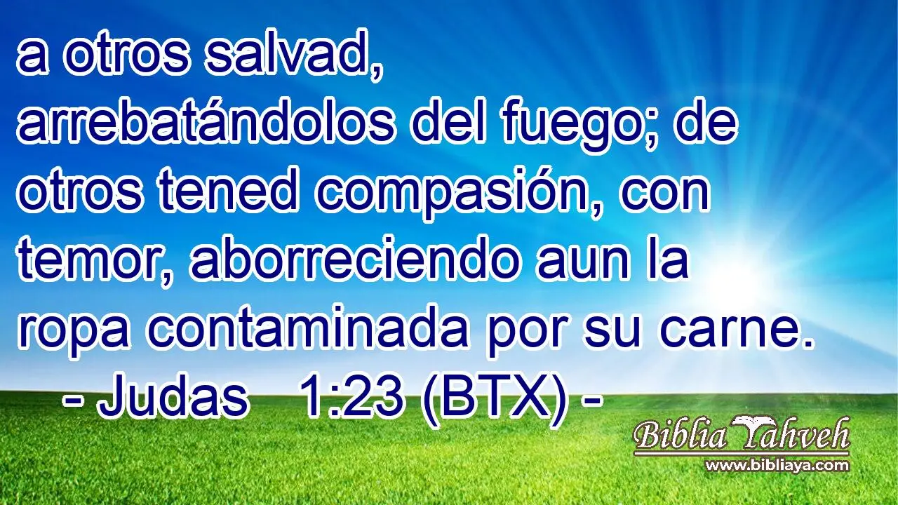 La Ropa Contaminada en la Biblia: Un Símbolo de Pecado y Purificación - Qué dice la Biblia sobre la ropa sucia ropa contaminada biblia - Qué dice la Biblia sobre la ropa sucia