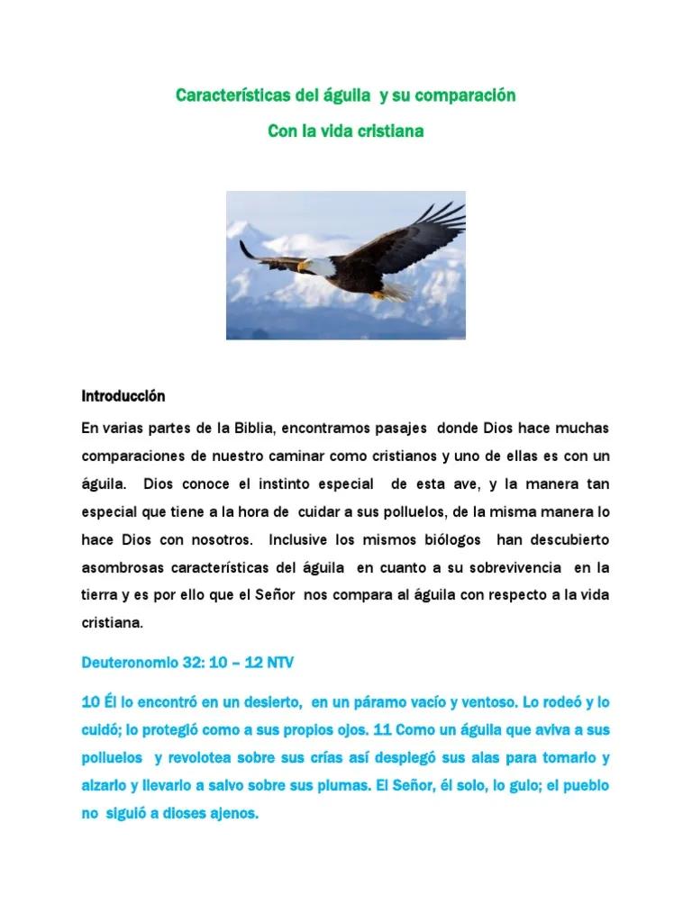 El Águila en la Biblia: Simbolismo y Significado - Qué dice la Biblia sobre las águilas caracteristicas del aguila en la biblia - Qué dice la Biblia sobre las águilas