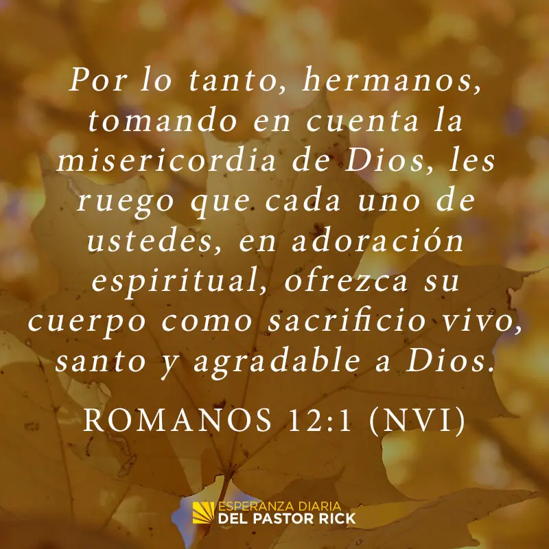El Cuerpo en la Biblia: Una Metáfora de Unidad y Diversidad - Qué dice la Biblia sobre los miembros del cuerpo el cuerpo en la biblia - Qué dice la Biblia sobre los miembros del cuerpo
