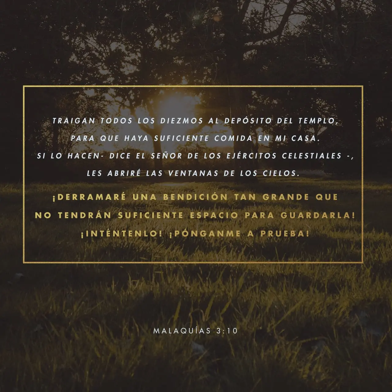 El Diezmo en Malaquías: Una Promesa de Abundancia y Bendición - Qué dice Malaquías 3 10 al 12 malaquias diezmo biblia catolica - Qué dice Malaquías 3 10 al 12