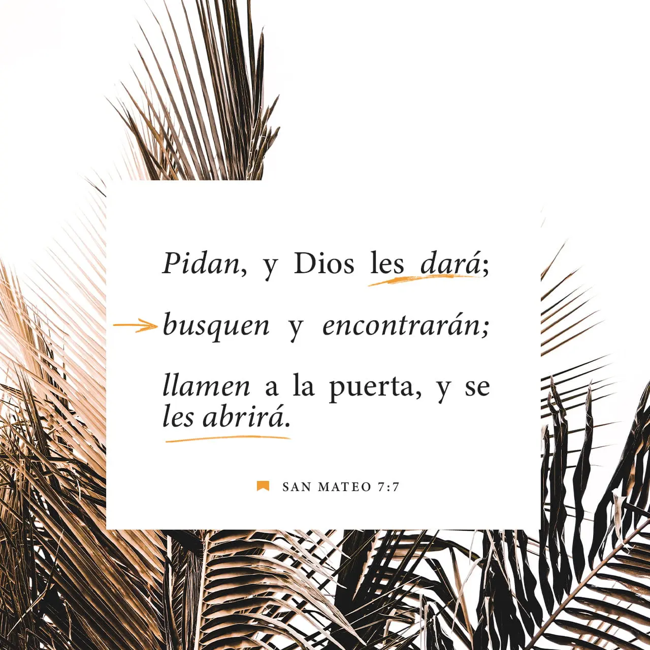 Busca y Hallarás: La Promesa de Dios en la Biblia - Qué dice Mateo 7 7 11 busca y hallaras biblia - Qué dice Mateo 7 7 11