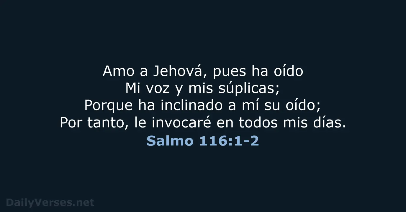 cuida tus oidos biblia - Qué dice Proverbios 4 del 20 al 27