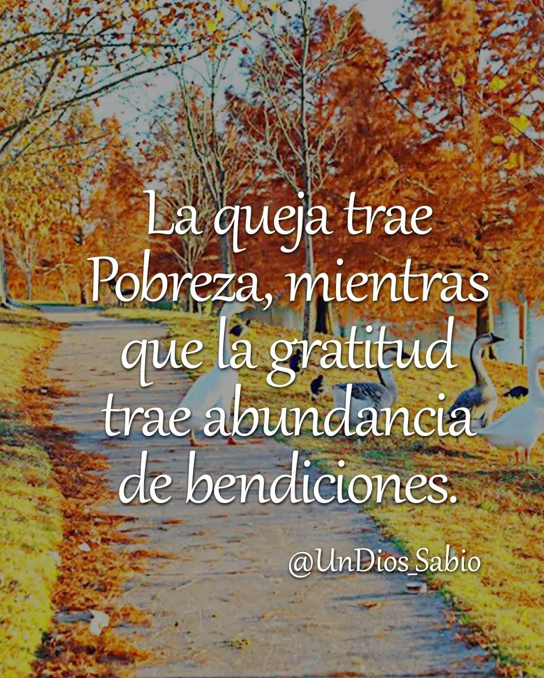 La Queja y la Pobreza: Una Lección Bíblica de Proverbios - Qué dice Proverbios sobre la pobreza la queja trae pobreza biblia - Qué dice Proverbios sobre la pobreza