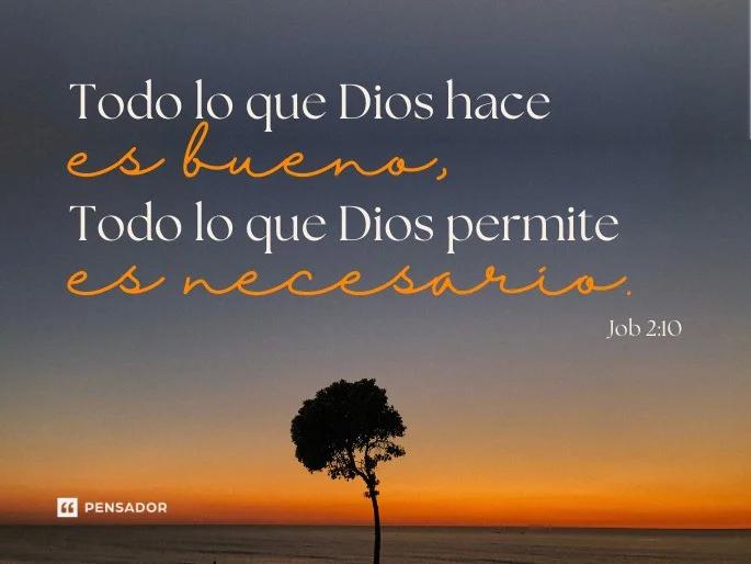 Frases de Dios en la Biblia: Palabras de Esperanza y Consuelo - Qué dice Salmo 121 7 frases de dios de la biblia - Qué dice Salmo 121 7