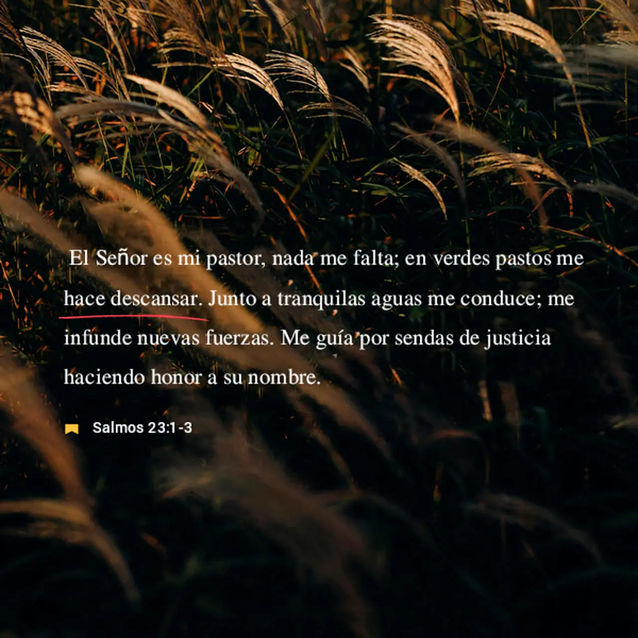 el señor es mi pastor biblia - Qué dice Salmo 23 11