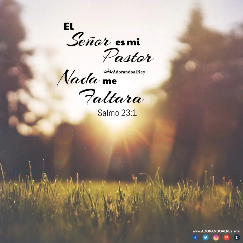 Jehová es mi Pastor: Un Análisis del Salmo 23 - Qué dice Salmo 23 12 jehova es mi pastor biblia - Qué dice Salmo 23 12